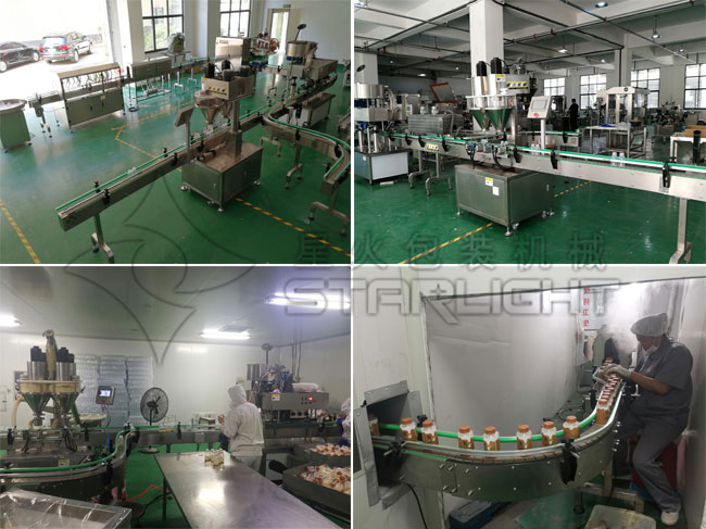 粉劑獸藥灌裝生產線設備