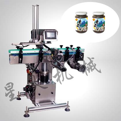 單工位自動真空旋蓋機