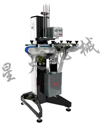 X30AE自動真空旋蓋機